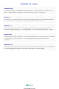 Diktat 3 Klasse – Übungen & Arbeitsblätter